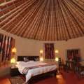 Luxury Resorts In Sariska For Premium Stay And Nature Retreats