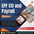 Professional EPF, ESI & Payroll Management Course With Practical Training