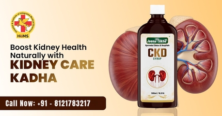 Chandigarh, Health, Natural Kidney Health Support With Kidney Care Kadha | Ayurvedic Detox Solution