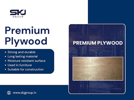 Bhopal, Business, Premium Grade Plywood Manufacturer Offering Strong Materials