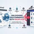Unleashed BigCommerce With SKUPlugs