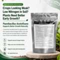 CAD 45, Give Your Crops The Nitrogen Support They Need – Buy Paenibacillus Azotofixans Today
