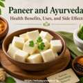 Paneer And Ayurveda: Health Benefits, Uses, And Side Effects