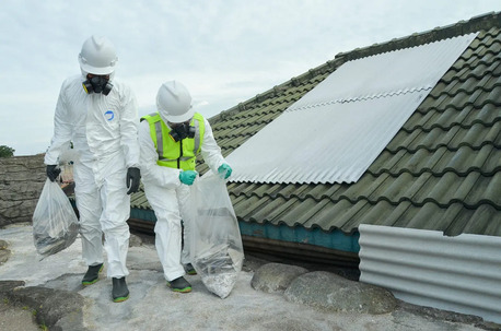New York, Pest Control, Trusted Experts For Asbestos Testing Services Near Me