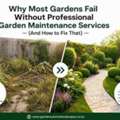 Why Most Gardens Fail Without Professional Garden Maintenance Services (And How To Fix Tha