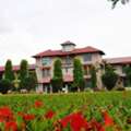 Best Boarding School In India: The Assam Valley School Advantage
