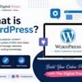 What Is WordPress? | Beginner's Guide 2025 | The Digital Preeti