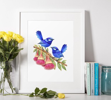 Sydney, Baby & Kid Stuff, AUD 55,  Splendid Fairy Wrens