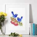 AUD 55,  Splendid Fairy Wrens