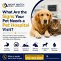 What Are The Signs Your Pet Needs A Pet Hospital Visit?