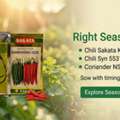 INR 200,  : Improve Crop Yield With Premium Agricultural Seeds, Fertilizers & Pesticides