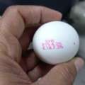 BHD 15,  FRESH CHICKEN EGGS ( SYRIA )