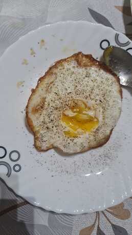Manama, Food, BHD 15,  FRESH CHICKEN EGGS ( SYRIA )