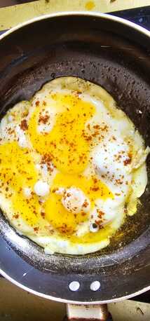 Manama, Food, BHD 15,  FRESH CHICKEN EGGS ( SYRIA )