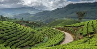Mumbai, Travel, Darjeeling & Gangtok 4Nights 5Days Starting From 17000/-