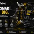 Best Dafabet Cricket Tips And Match Analysis Guide 2026