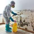 Certified Mold Removal Dubai &ndash; Safe & Effective Solutions