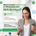 Get WhatsApp Green Tick Verification | Build Trust & Boost Conversions | WABridge