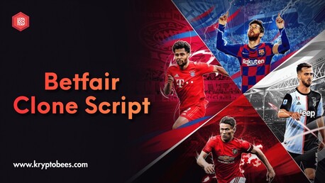 New York, Legal, Create A Strong Market Presence With A Betfair Clone Script