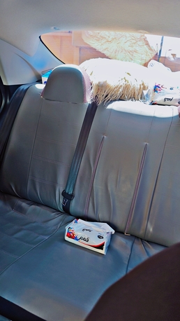 Riyadh, Passenger Transport, I Have Car For Pick And Drap