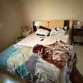 SAR 200,  Wooden Bed With Mattress