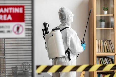 Calgary, Business, Emergency Pest Control Service In Red Deer - Fast & Efficient