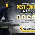 Pest Control & Fuemigation Services With Experience Of 20 Year In RIYADH