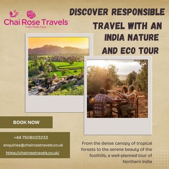 London, Travel, Discover Responsible Travel With An India Nature And Eco Tour