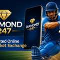 Why Diamond 247 Is Popular In India