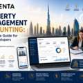 Dubai Developers&rsquo; Complete Property Accounting Solution