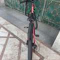 SAR 3500,  Cycle For Teenagers And Adults
