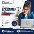 Struggling With CQU Moodle Login? Get Expert University Assignment Help