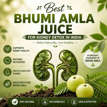 Mumbai, Health & Beauty Items, INR 680,  Pure Bhumi Amla Juice Benefits For Daily Wellness
