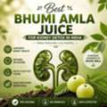 INR 680,  Pure Bhumi Amla Juice Benefits For Daily Wellness
