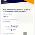 HSE Officer