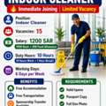 INDOOR CLEANER