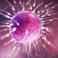 Azoospermia: When No Sperm Is Found &mdash; Causes, Diagnosis & Treatment Options