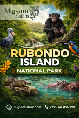 Dar es Salaam, Travel, Explore Rubondo Island National Park &ndash; Lake Victoria Adventure