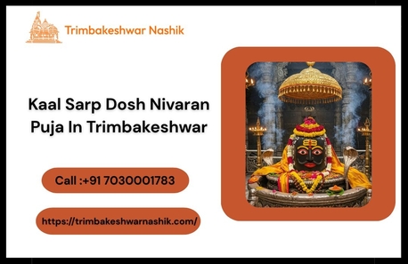 Mumbai, Business, Kaal Sarp Dosh Nivaran Puja In Trimbakeshwar  | Nashik