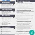 Land Surveyor And Civil Supervisor