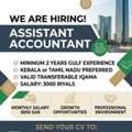 Assistant Accountant