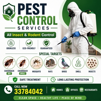 Manama, Pest Control, Pest Control Services Big Offers Just Only 17 BHD