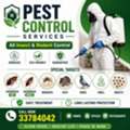 Pest Control Services Big Offers Just Only 17 BHD