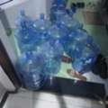 SAR 1,  Urgent Sale Final Exit