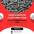 Order Screws For Plates Online From Loss Prevention Fasteners & Tools