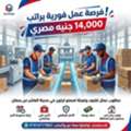 براتب 14000 مطلوب عمال تعبئة وتغليف لمصنع كرتو