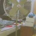 SAR 200,  Standing Fan For Sale