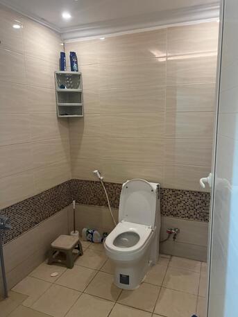 Al Malaz, Apartments, Flats, Houses & Villas, SAR 1500/month,  1 BR,  Executive Bachelor Room