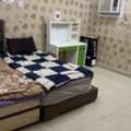 SAR 1300/month,  1 BR,  Executive Furnished Room Available,  Professionals Only
