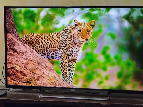 Riyadh, Appliances, SAR 4990,  Sony Bravia 50 Inch Smart TV & A Fridge Super General (Both Brand New Condition)